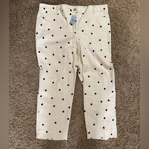 Ann Taylor 12P NWT Cream Colored Pants With Black Polka Dots Ankle Length